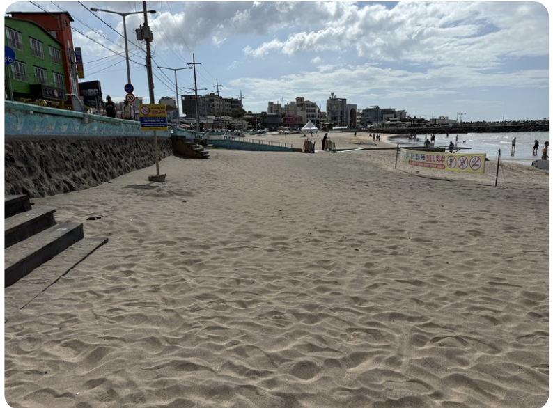 Spiritus: Eco Guardian of Hyeopjae Beach 4